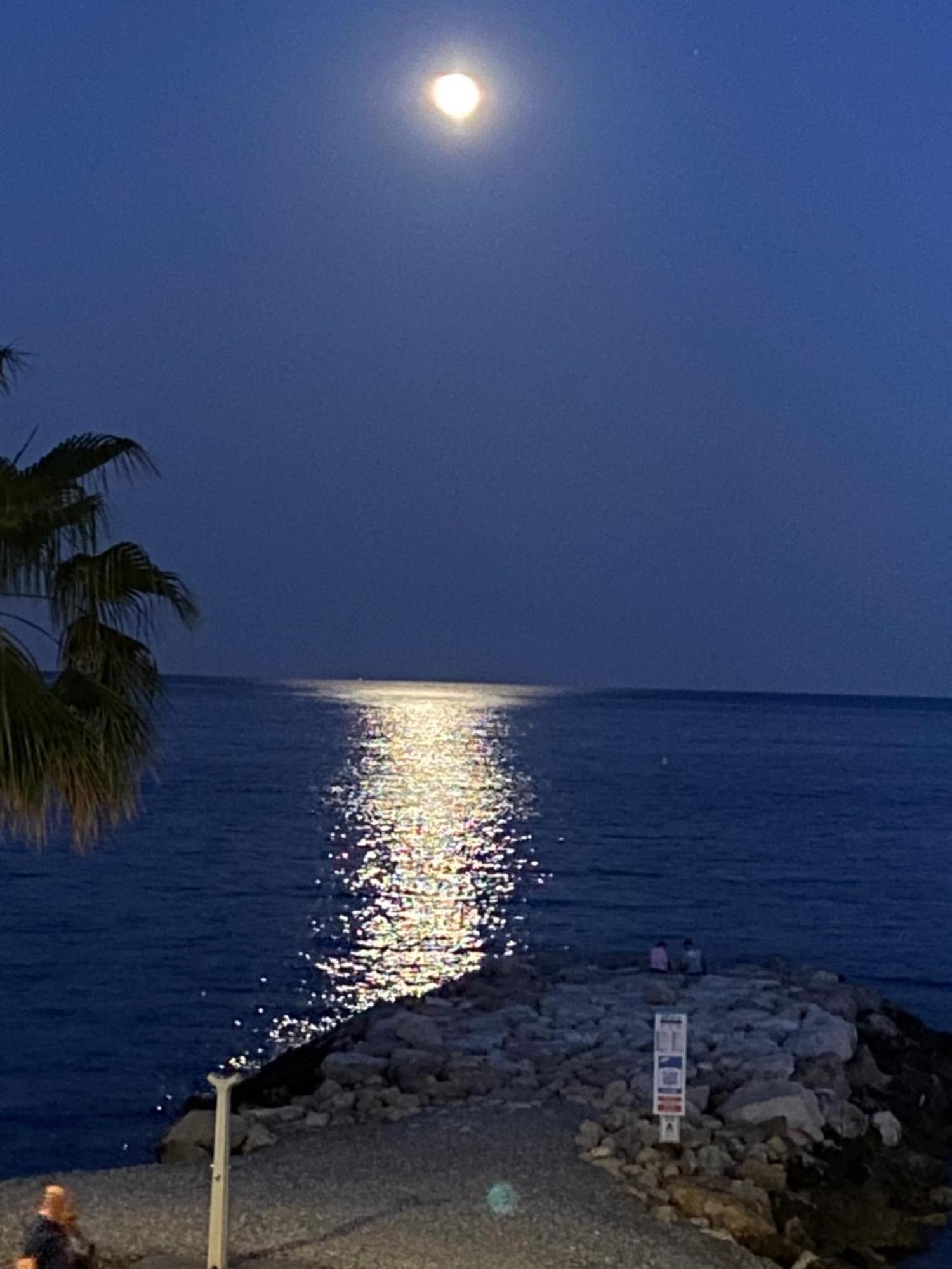 O Phare Du Cros Daire Cagnes-sur-Mer Dış mekan fotoğraf