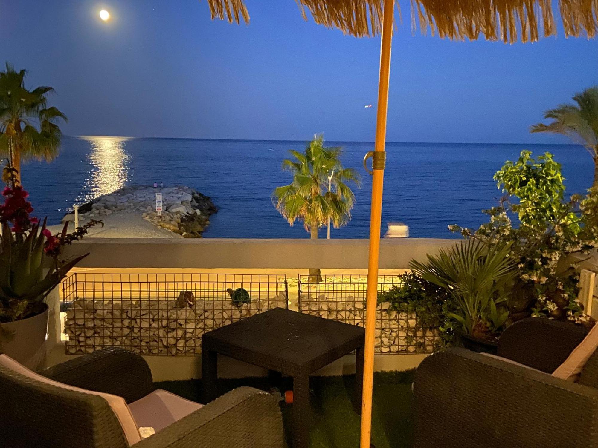 O Phare Du Cros Daire Cagnes-sur-Mer Dış mekan fotoğraf